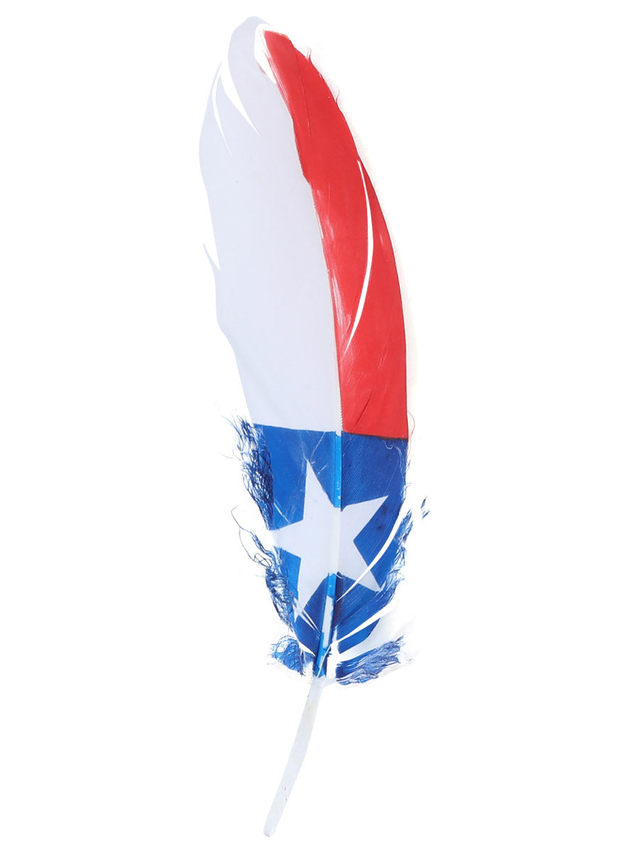 Hand Painted Texas Hat Feather Accessory - 42039