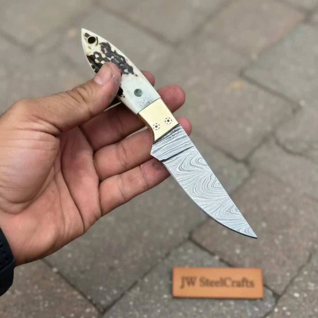 Handmade Damascus Drop Point EDC Knife Fixed Blade Stag Handle Brass Bolster