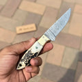 Handmade Damascus Drop Point EDC Knife Fixed Blade Stag Handle Brass Bolster