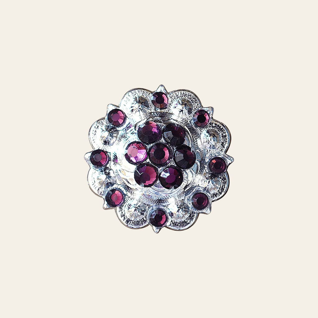 HILASON Amethyst Crystal Berry Headstall Saddle Tack Bling Cowgirl | Western Concho Belt Slotted Conchos