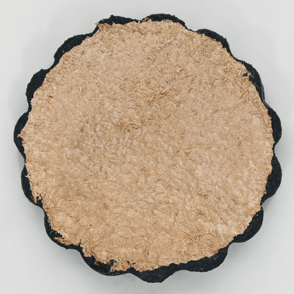 Hilason Plain Scalloped Leather Rosette Concho Saddle Tack Tan 1-3/4"