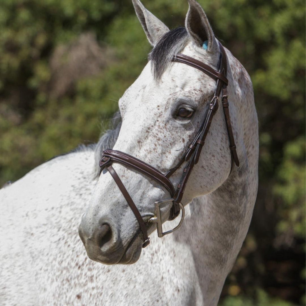 Replacement Noseband of ExionPro 'Phoenix' Convertible Jumping Bridle with Removable Flash by Bridles & Reins - alternate...