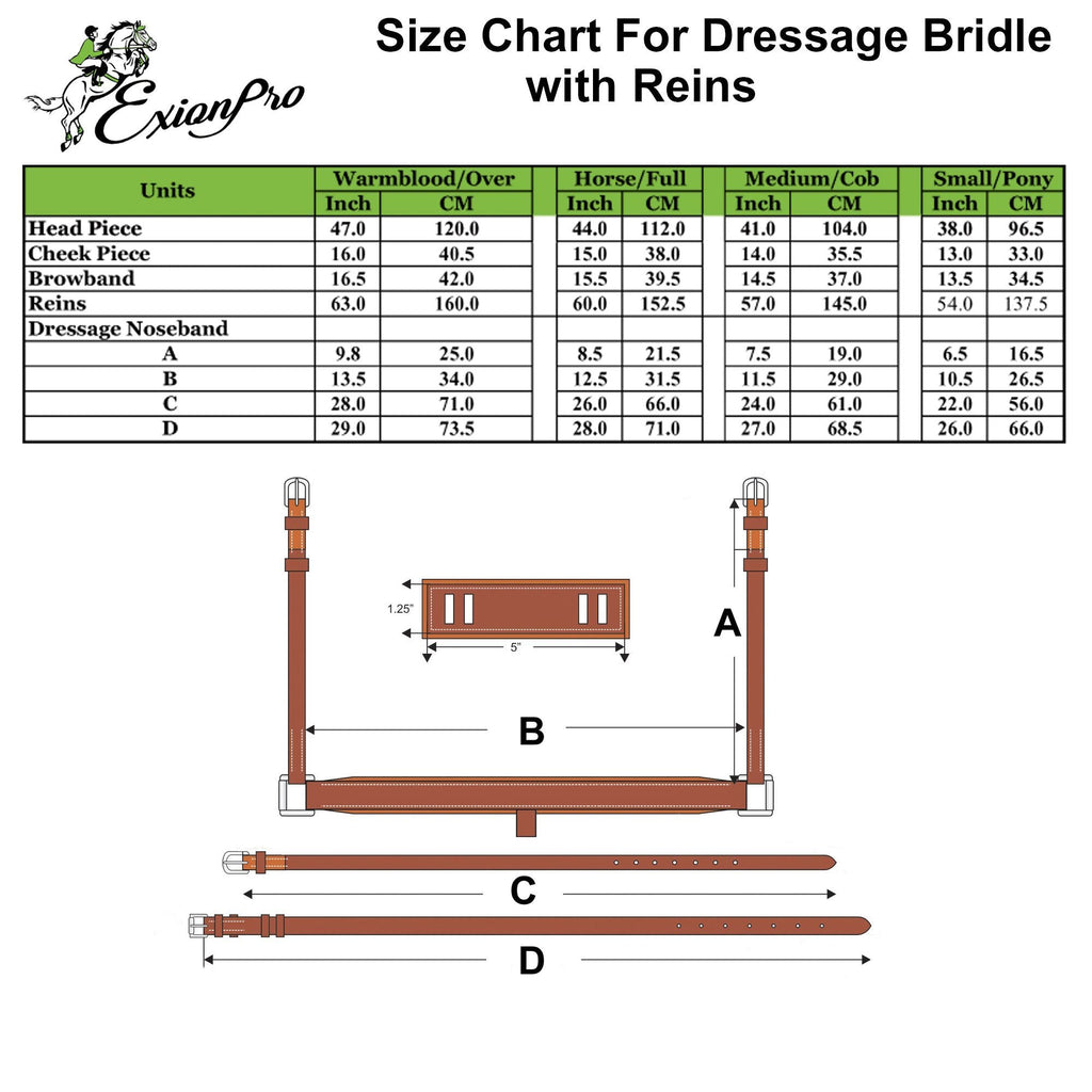 ExionPro Net Braided Browband & Dressage Bridle with Web Reins by Bridles & Reins - alternate view 3