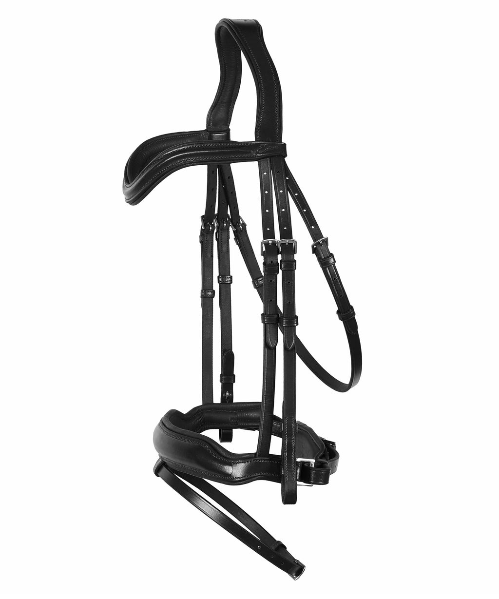 ExionPro 'Leo' Classic Dressage Bridle with Reins by Bridles & Reins