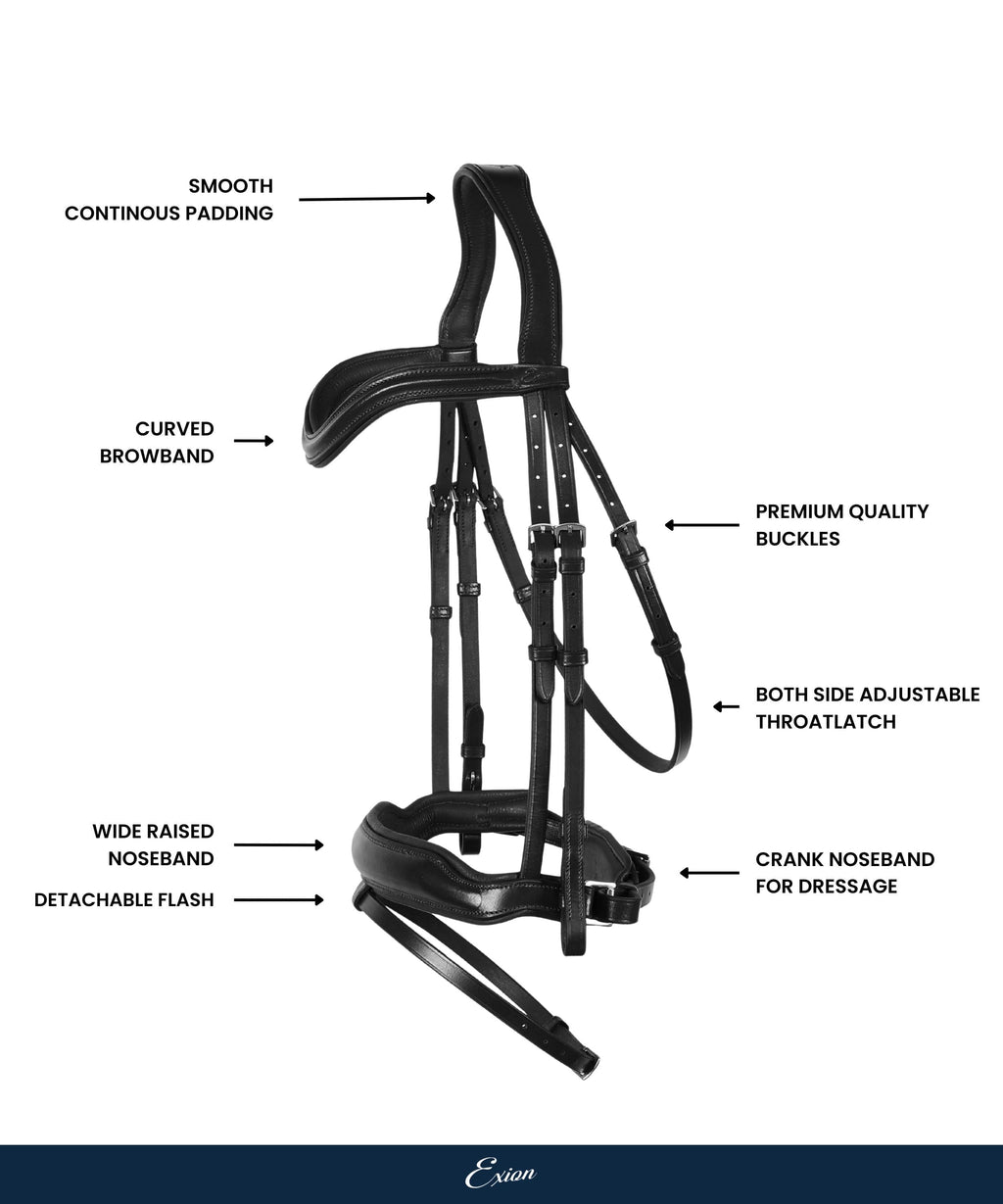 ExionPro 'Leo' Classic Dressage Bridle with Reins by Bridles & Reins - alternate view 3