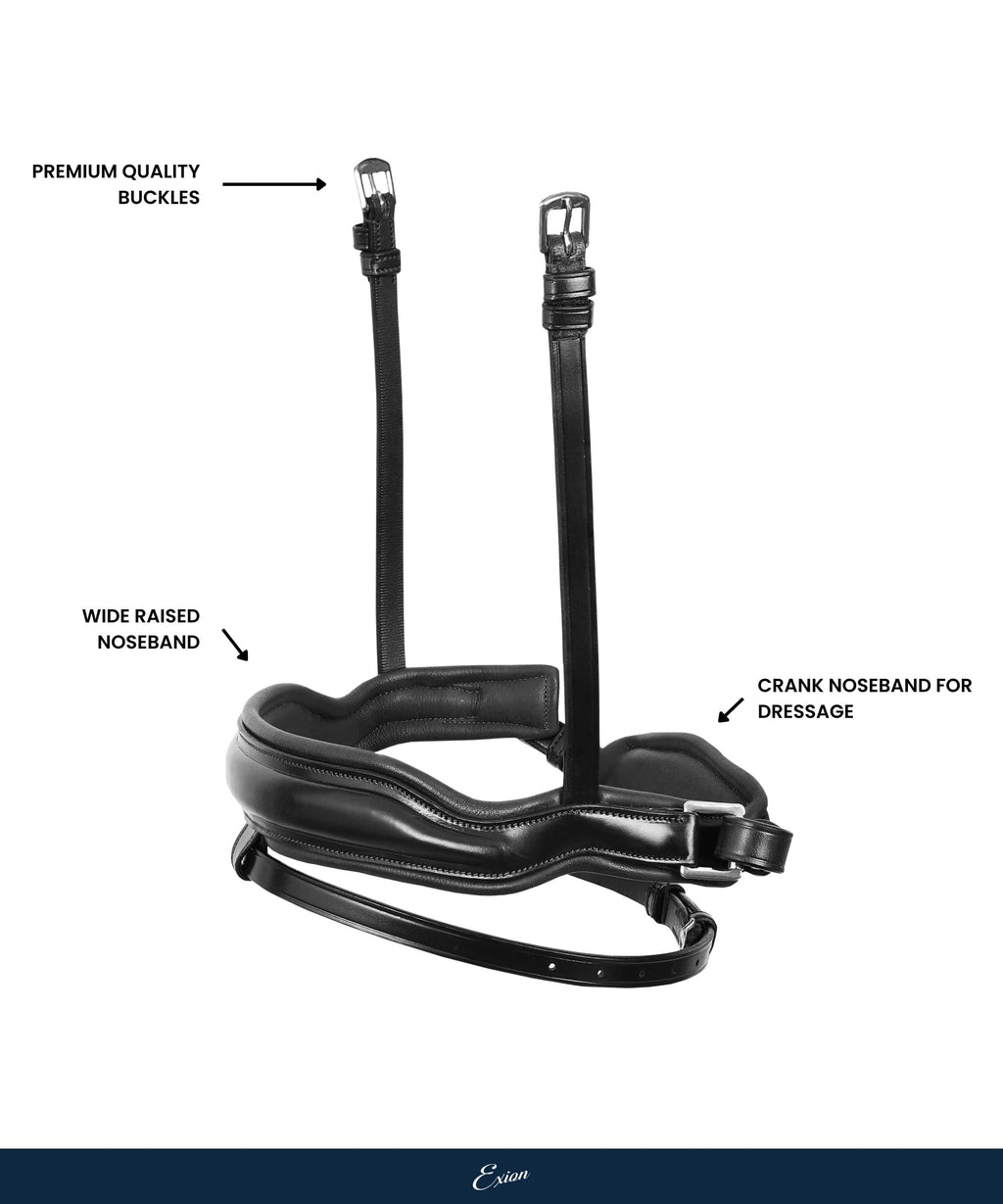 Replacement Noseband of ExionPro 'Leo' Classic Dressage Bridle by Bridles & Reins - alternate view 3