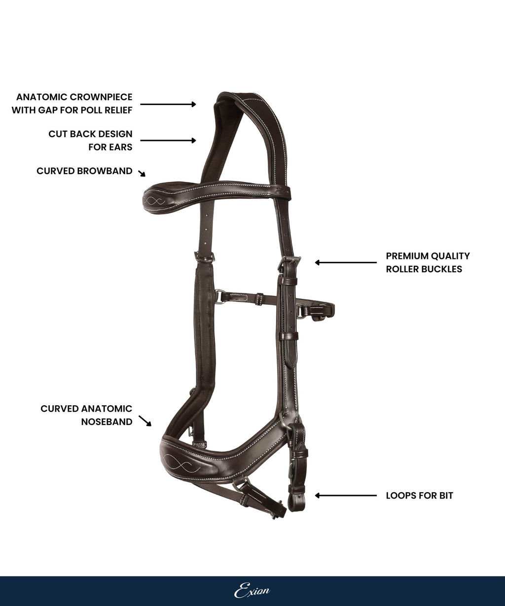 ExionPro 'Auriga' Anti-Pressure Bridle with Reins by Bridles & Reins - alternate view 4