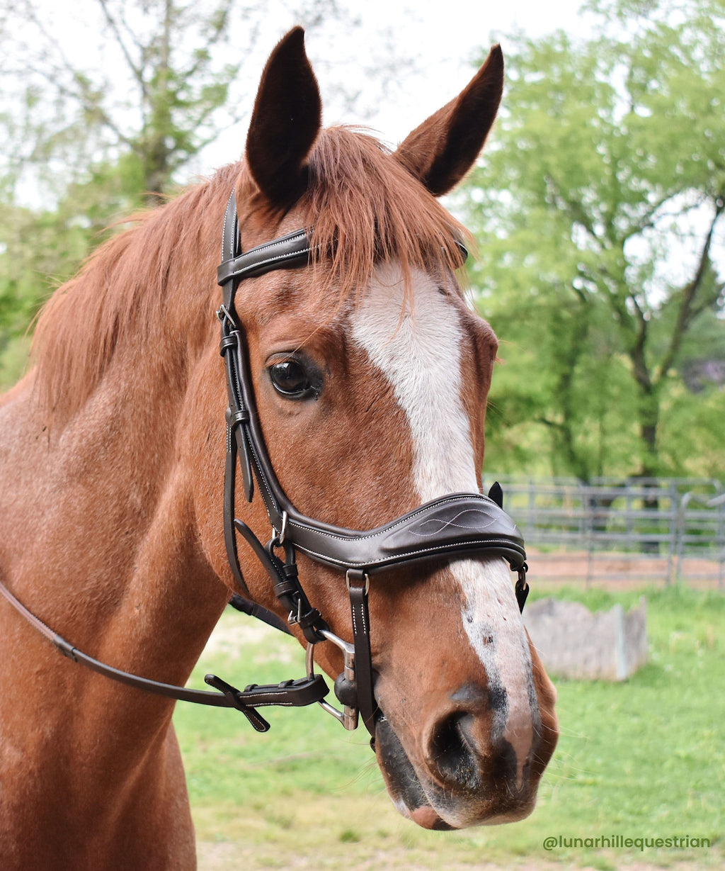 ExionPro 'Auriga' Anti-Pressure Bridle with Reins by Bridles & Reins - alternate view 6