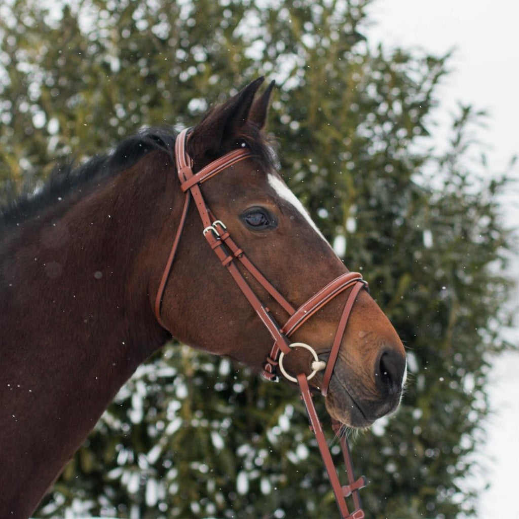 ExionPro Pressure Relief Crown Raised Padded Jumping Bridle with Reins by Bridles & Reins