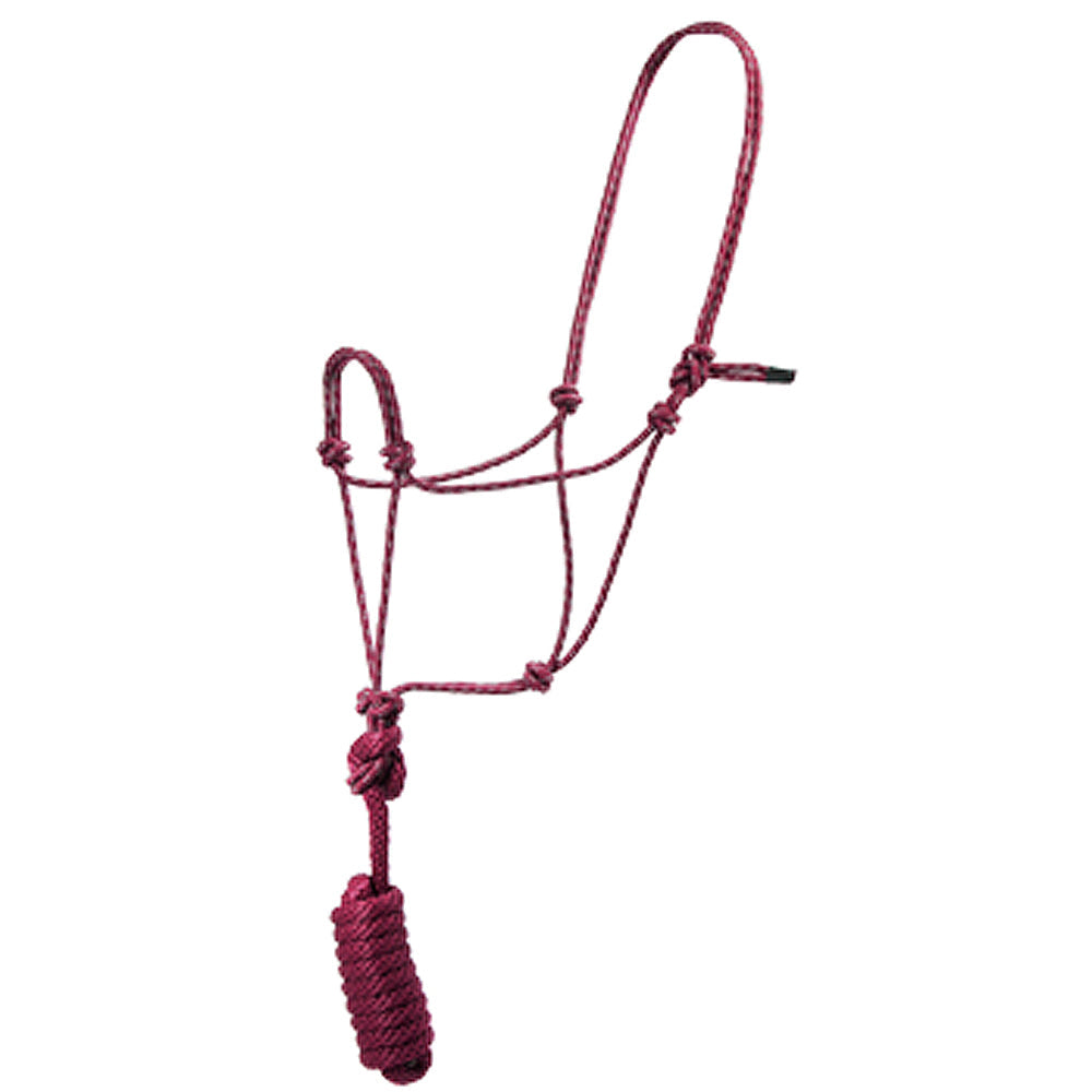 Hilason Basic Two-Toned Poly Rope Halter with 8' Lead – Durable, Lightweight & Hardware-Free