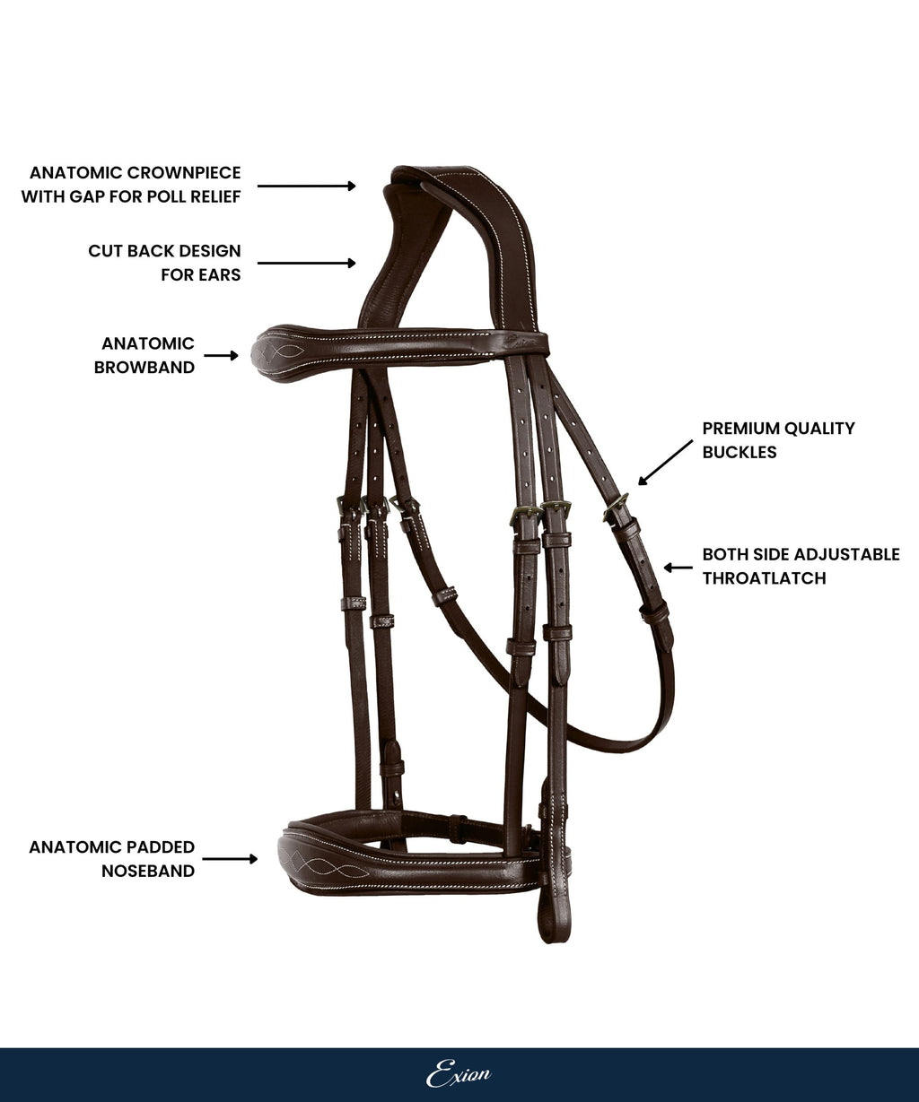 ExionPro 'Perseus' Anatomical Jumping Bridle without Flash with Reins by Bridles & Reins - alternate view 4