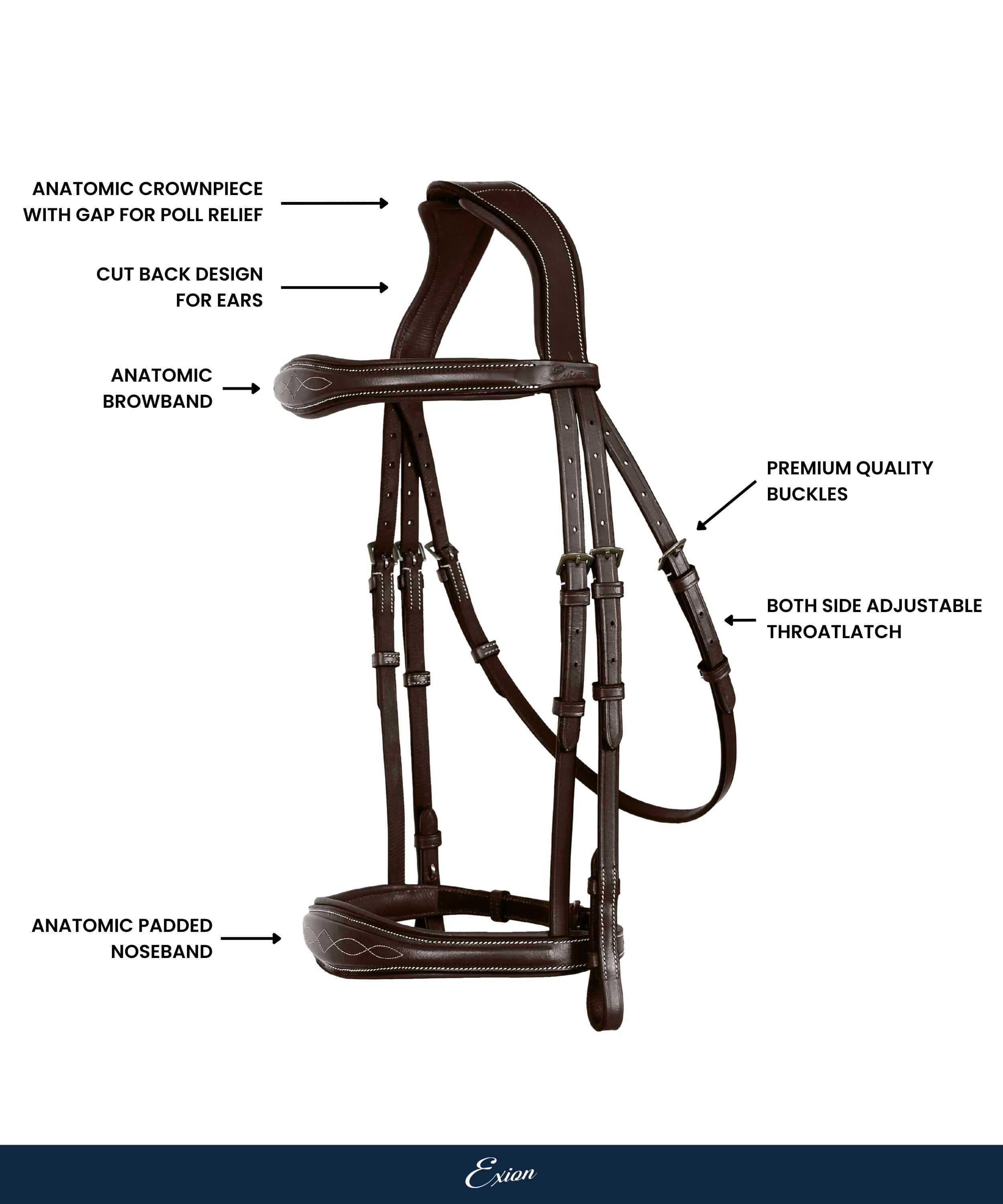 ExionPro 'Perseus' Anatomical Jumping Bridle without Flash with Reins by Bridles & Reins - alternate view 4
