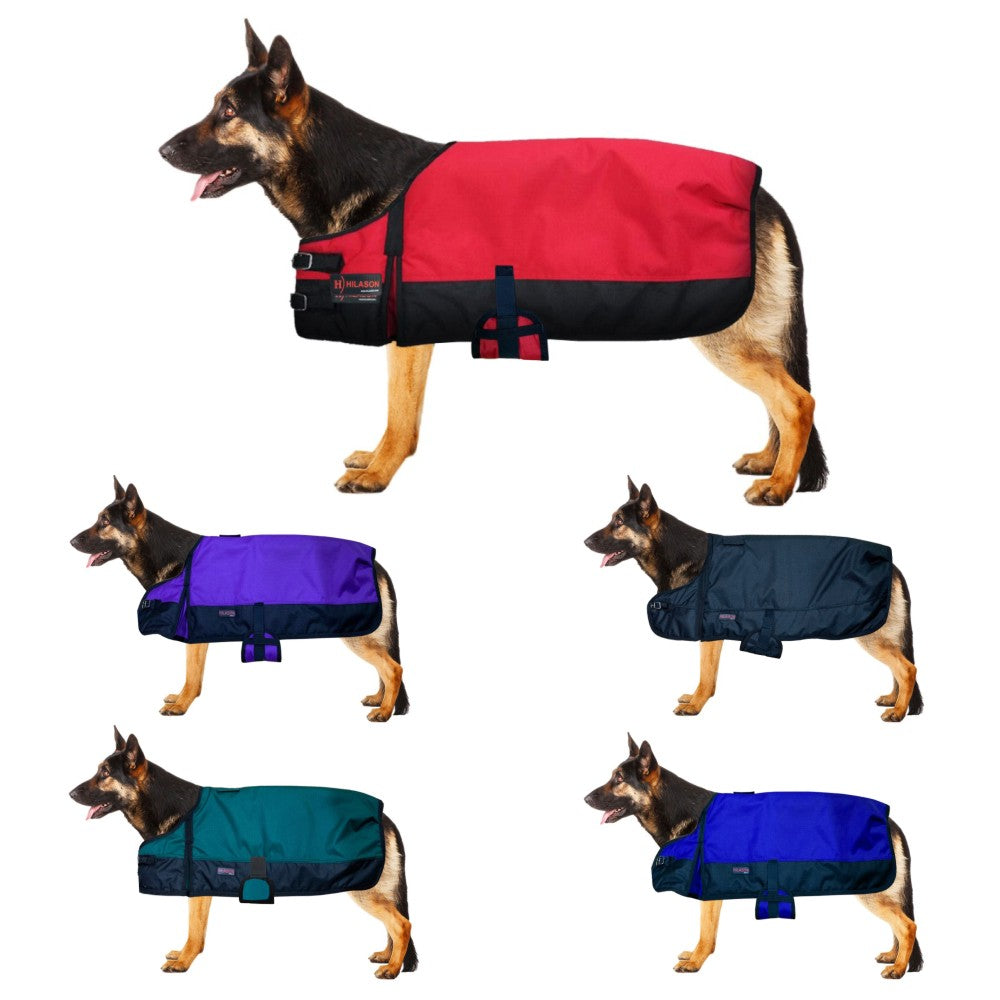 Winter Turnout Waterproof Dog Blanket With 200 GSM Insulation For Extreme Weather