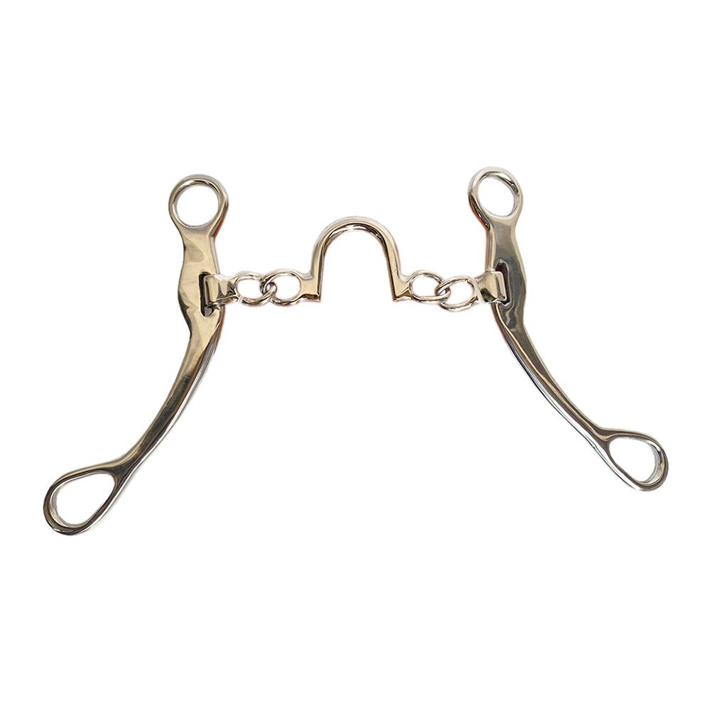 HILASON Medium Shank Chain Correction Bit with Stainless Steel | Horse Bits Western Walking Training Equine for horses