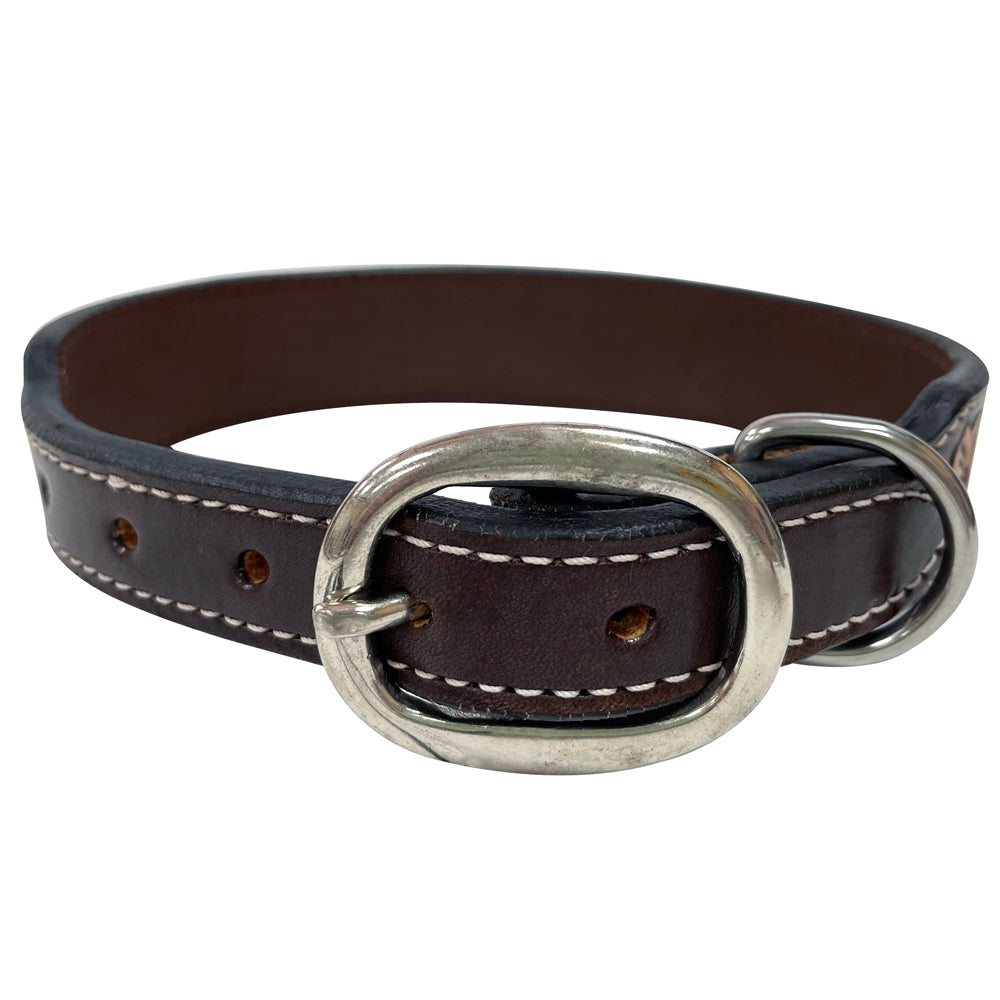 BAR H EQUINE Cactus Hand Painted And Carved Western Leather Dog Collar Brown