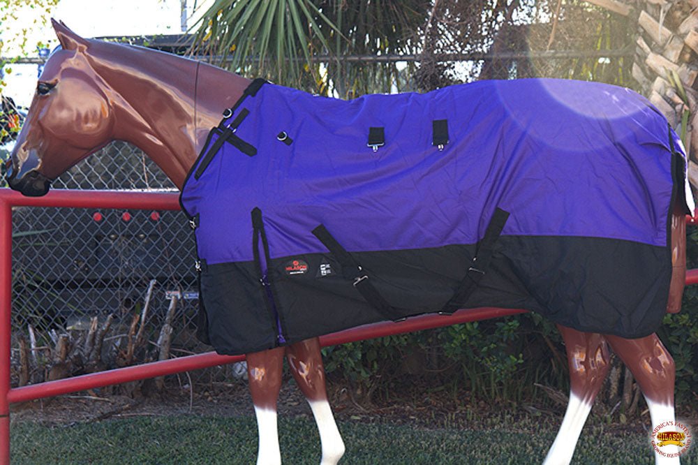 Weatherproof Winter Ready Turnout Blanket For Miniature Horses In Harsh Conditions