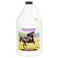 Gastroade Calcium Horse Supplement — 1 Gallon