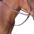 Passport Plain Raised Standing Martingale Full
