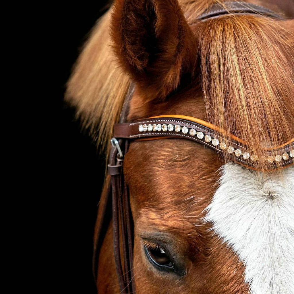 ExionPro Elegant Soft Padded Light Peach, Clear Crystal Browband by Bridles & Reins