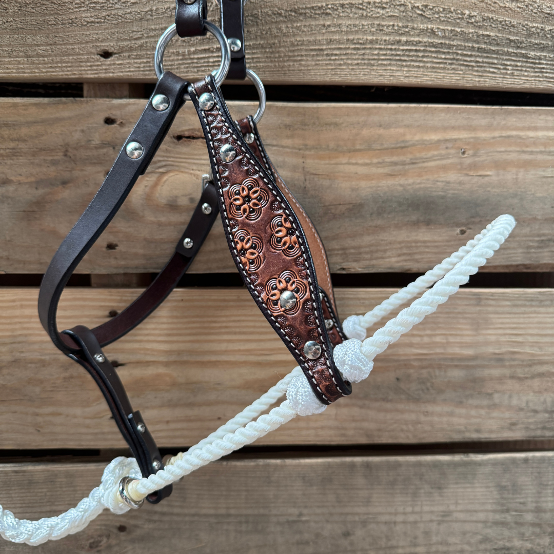 White Flower Power Tooled Lariat & Leather Combo Halter — view 2