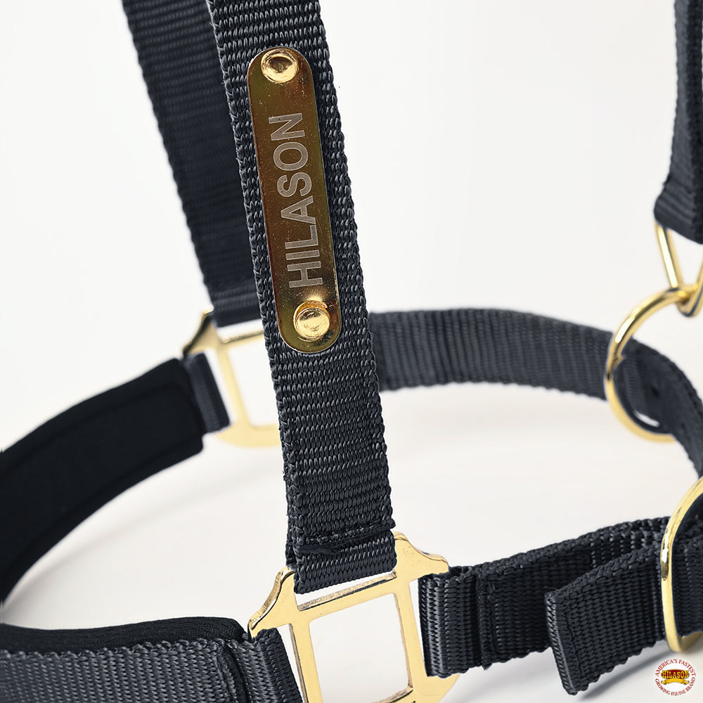 HILASON Western Safety Horse Halter Comfortable and Flexible | Nylon Halters Adjustable Cute