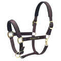 Medium HILASON Western Horse Top Grade Nylon Comfortable & Flexible Halter