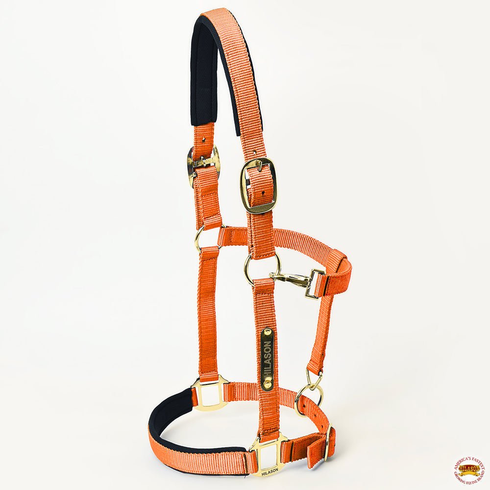 HILASON Western Safety Horse Halter Comfortable and Flexible | Nylon Halters Adjustable Cute