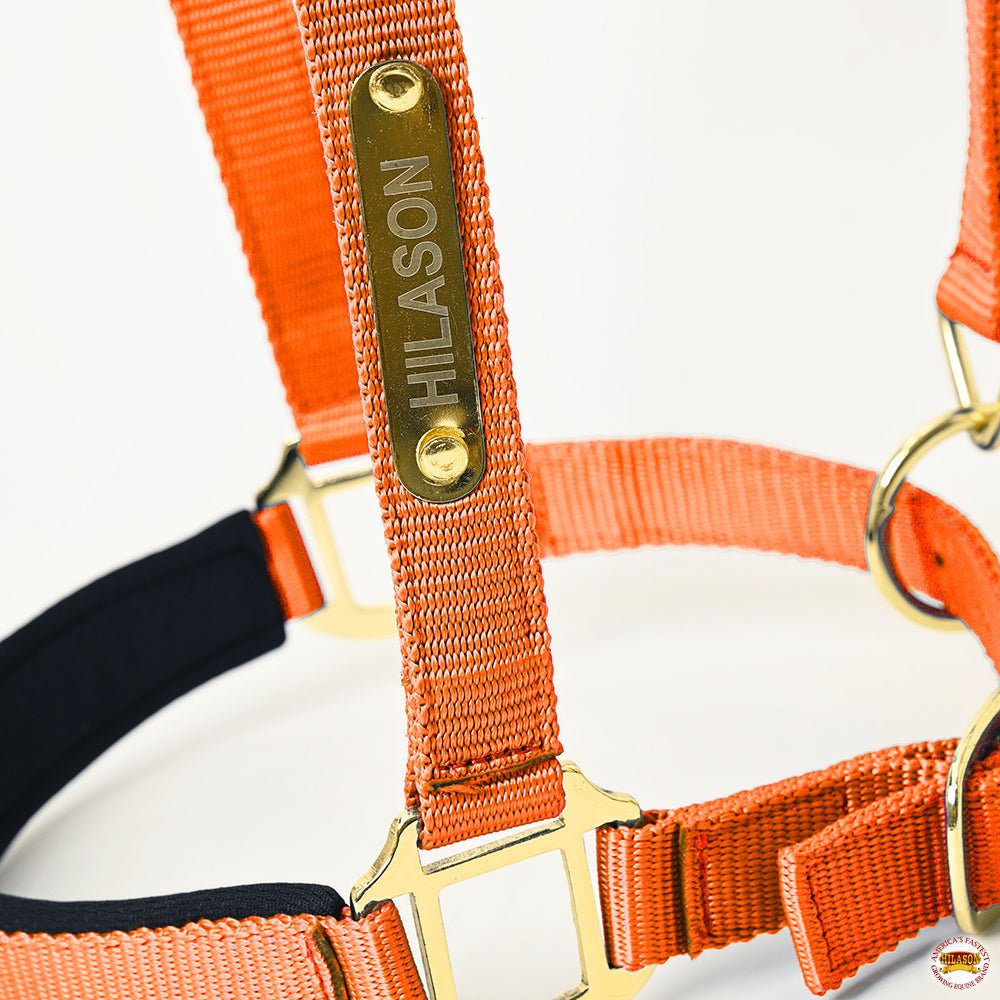 HILASON Western Safety Horse Halter Comfortable and Flexible | Nylon Halters Adjustable Cute