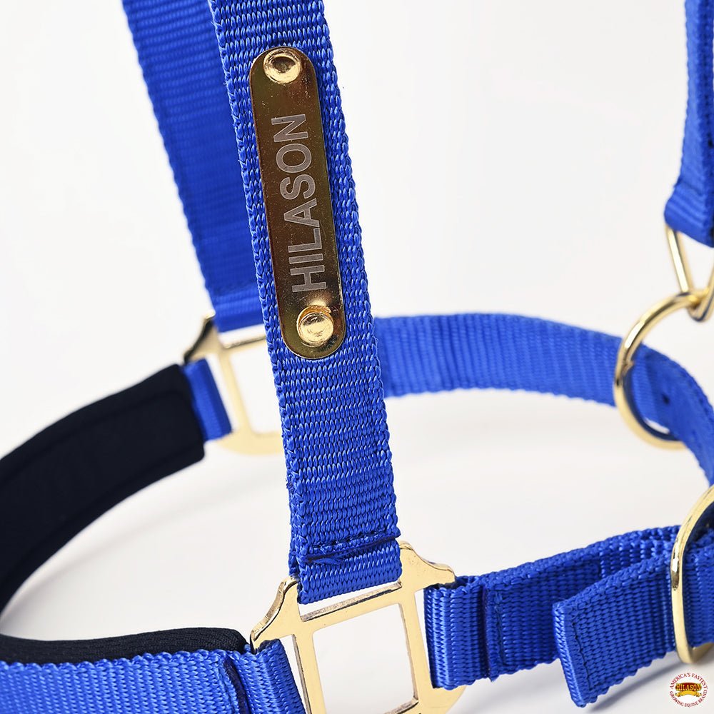 HILASON Western Safety Horse Halter Comfortable and Flexible | Nylon Halters Adjustable Cute