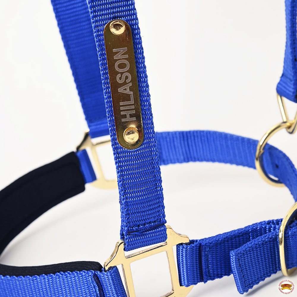 HILASON Western Safety Horse Halter Comfortable and Flexible | Nylon Halters Adjustable Cute