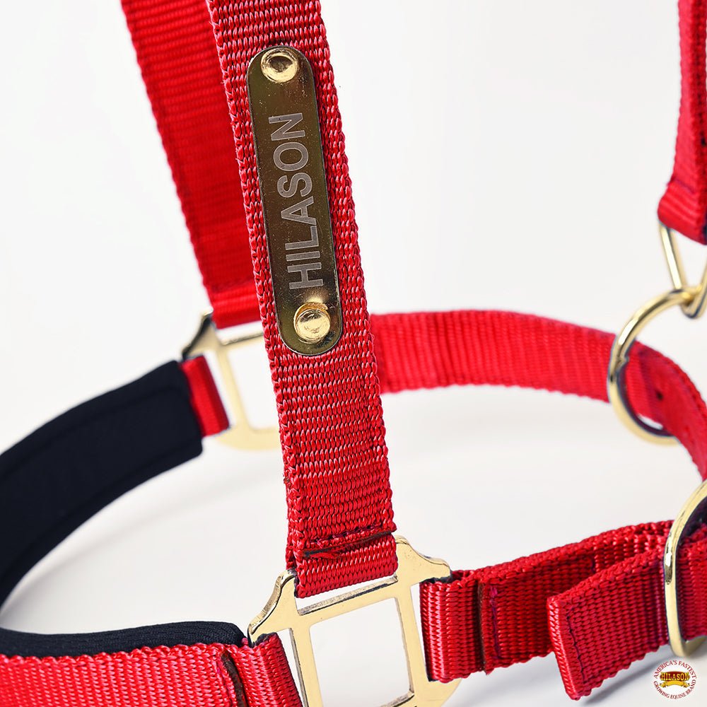 HILASON Western Safety Horse Halter Comfortable and Flexible | Nylon Halters Adjustable Cute