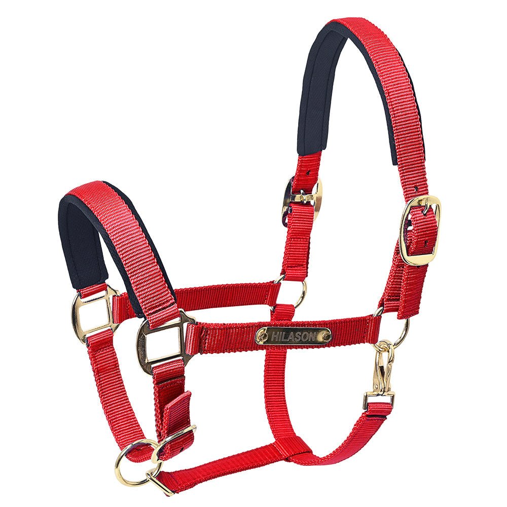HILASON Western Safety Horse Halter Comfortable and Flexible | Nylon Halters Adjustable Cute