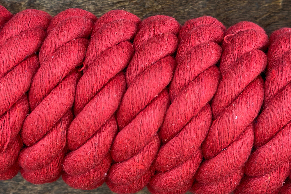 Hilason Cotton Lead Rope with Snap — 10 ft