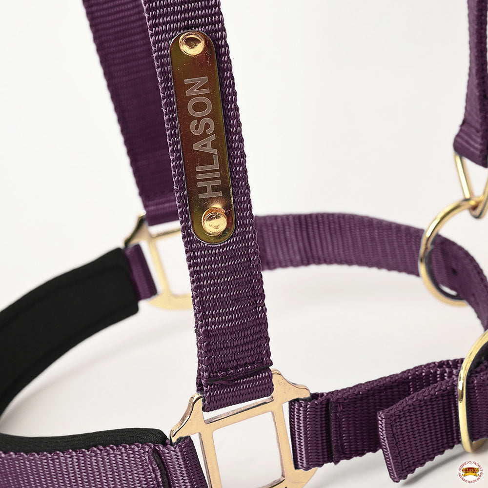 HILASON Western Safety Horse Halter Comfortable and Flexible | Nylon Halters Adjustable Cute