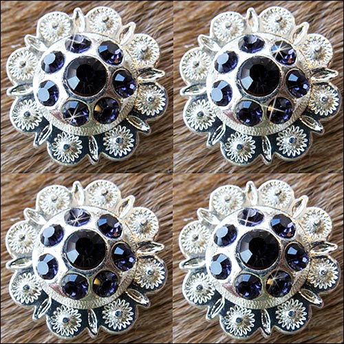 Western Screw Back Conchopurple Berry Crystals Headstall Cowgirl 1 In