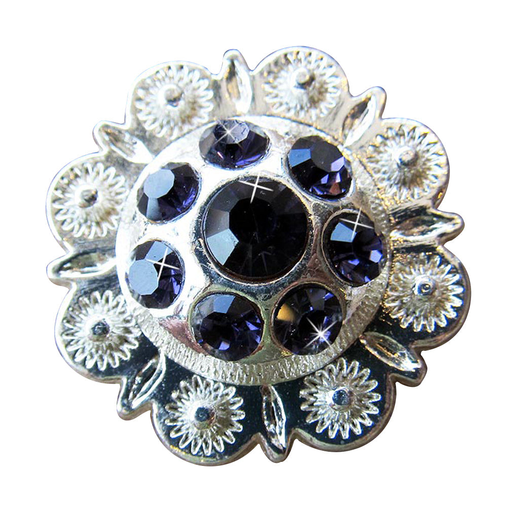 Western Screw Back Conchopurple Berry Crystals Headstall Cowgirl 1 In