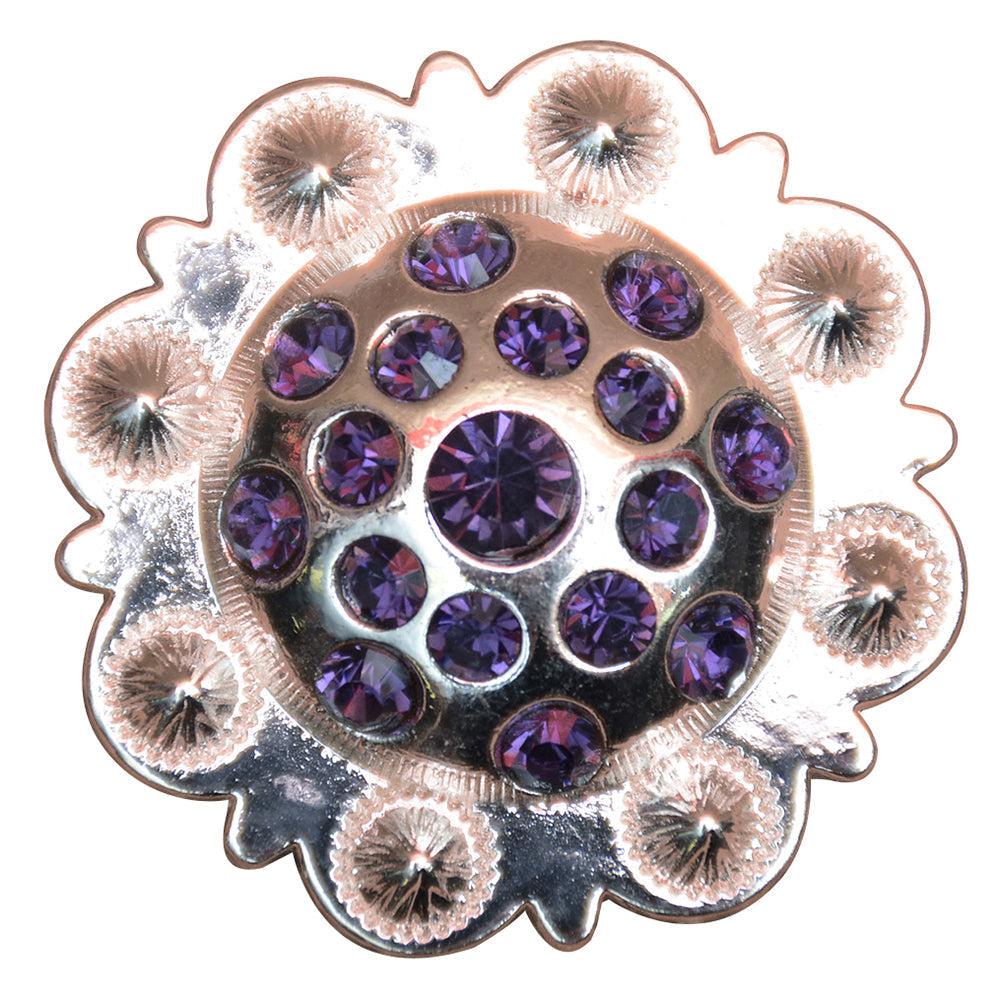 Hilason Western Screw-Back Berry Concho, Purple Crystals — 1.5"