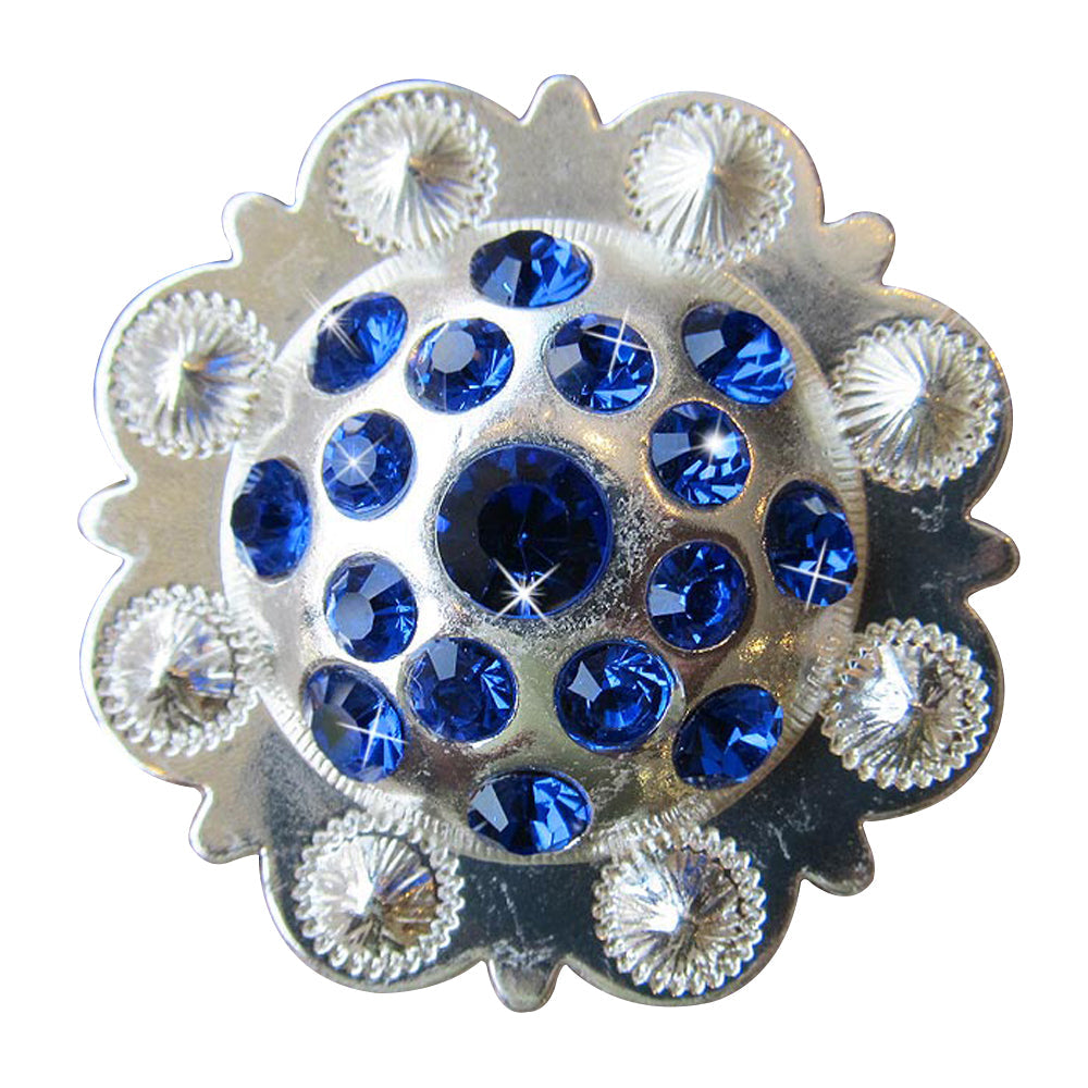 Western Screw Back Concho Sapphire Berry Crystals Headstall Tack Cowgirl