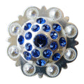 Western Screw Back Concho Sapphire Berry Crystals Headstall Tack Cowgirl