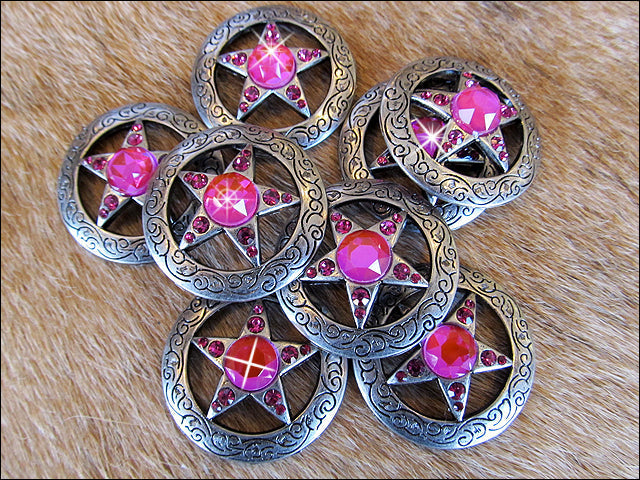 Western Screw Back Concho Star Fuchsia Crystal Bling Headstall Cowgirl
