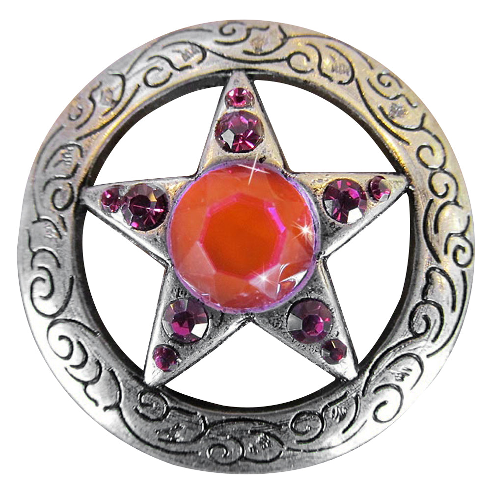 Western Screw Back Concho Star Fuchsia Crystal Bling Headstall Cowgirl