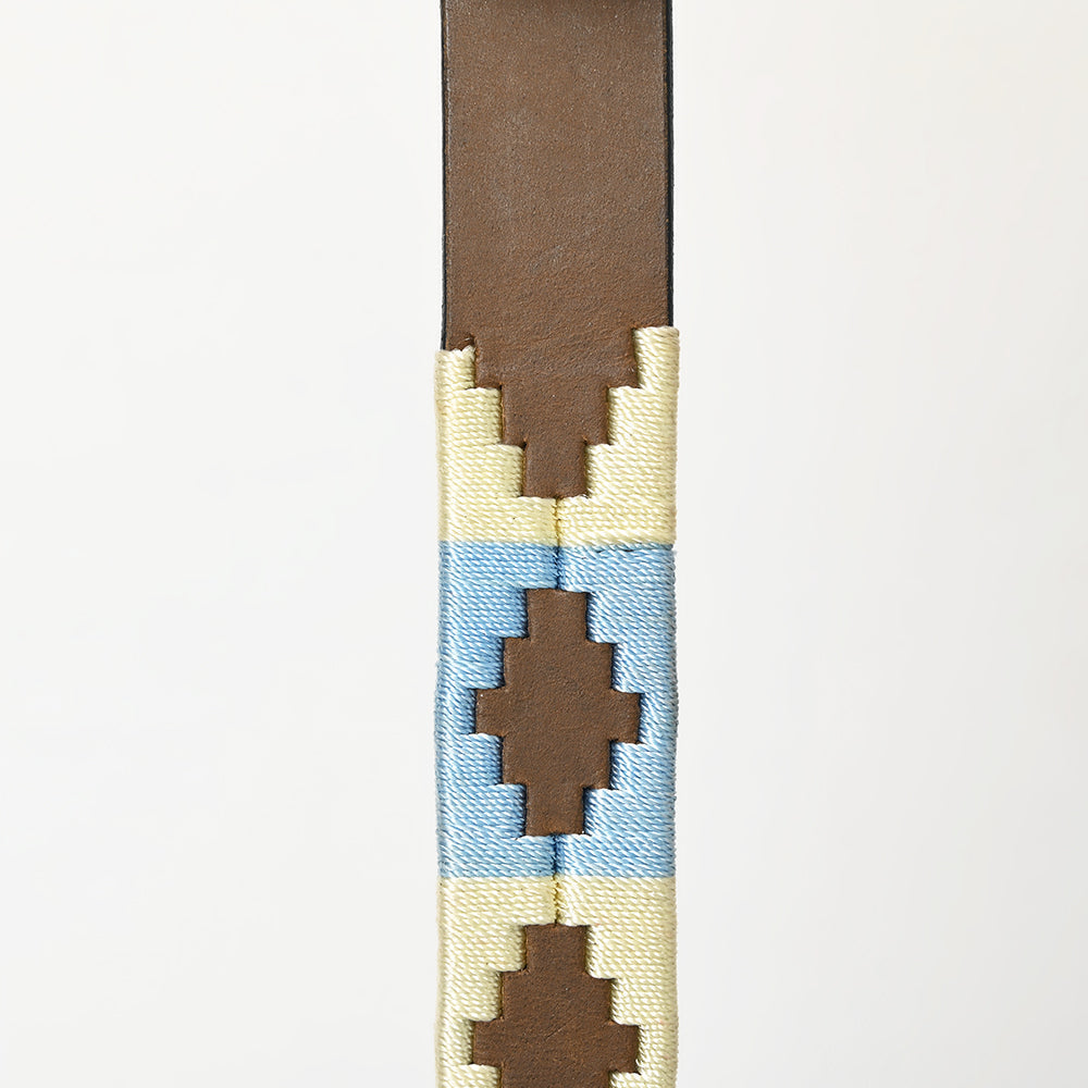 BAR H EQUINE Western Genuine Leather Dog Collar Embroidered  Beige & Light Blue