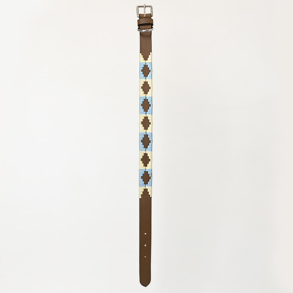 BAR H EQUINE Western Genuine Leather Dog Collar Embroidered  Beige & Light Blue