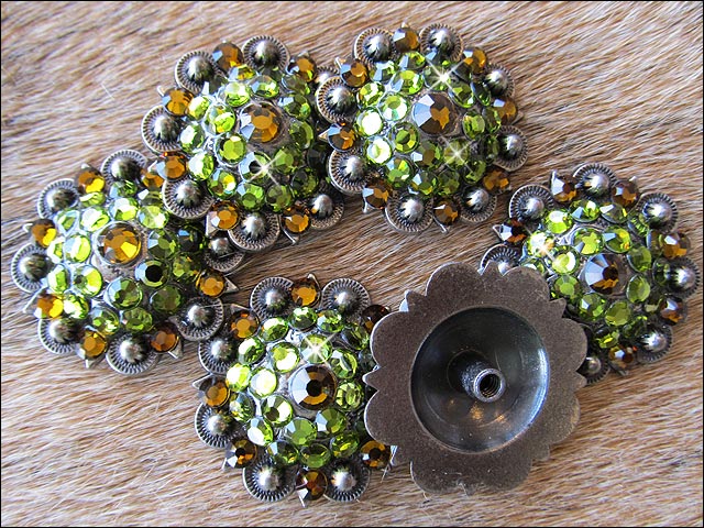 Western Screw Back Concho Parrot Green Crystal Bling Headstall Cowgirl