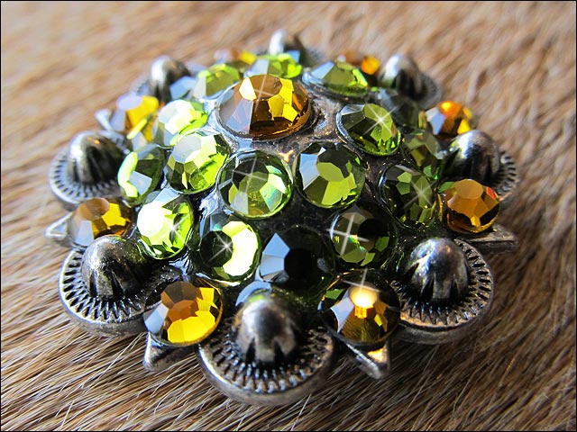 Western Screw Back Concho Parrot Green Crystal Bling Headstall Cowgirl