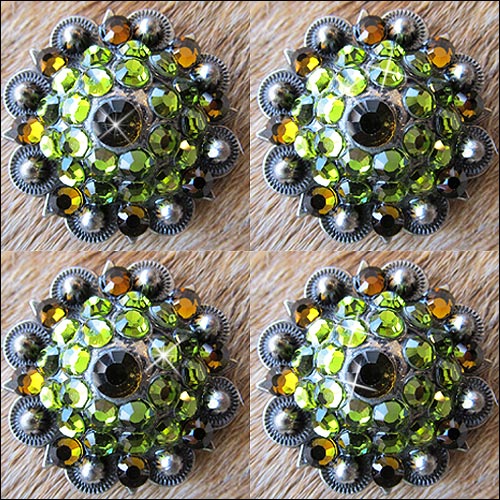 Western Screw Back Concho Parrot Green Crystal Bling Headstall Cowgirl