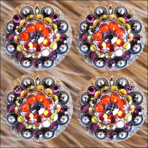 Western Screw Back Concho Fuchsia Topaz Crystal Bling Headstall Cowgirl