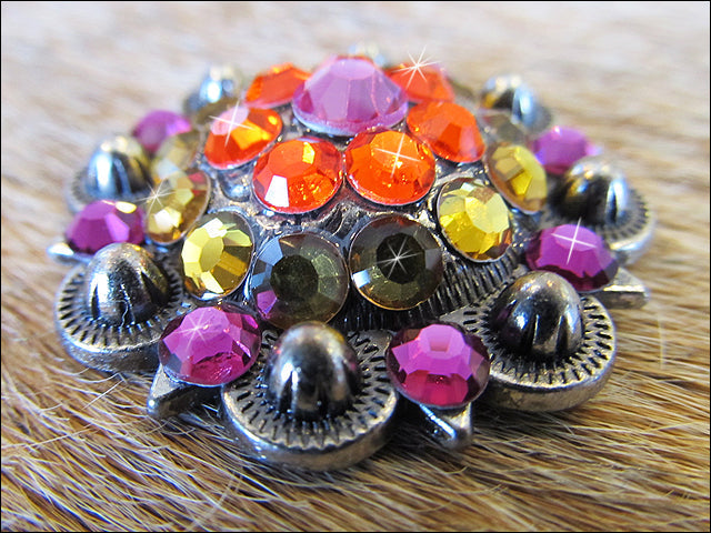 Western Screw Back Concho Fuchsia Topaz Crystal Bling Headstall Cowgirl