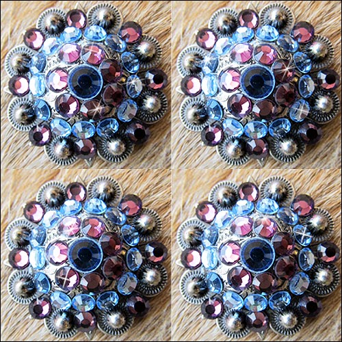 Western Screw Back Concho Amethyst Sapphire Crystal Headstall Cowgirl