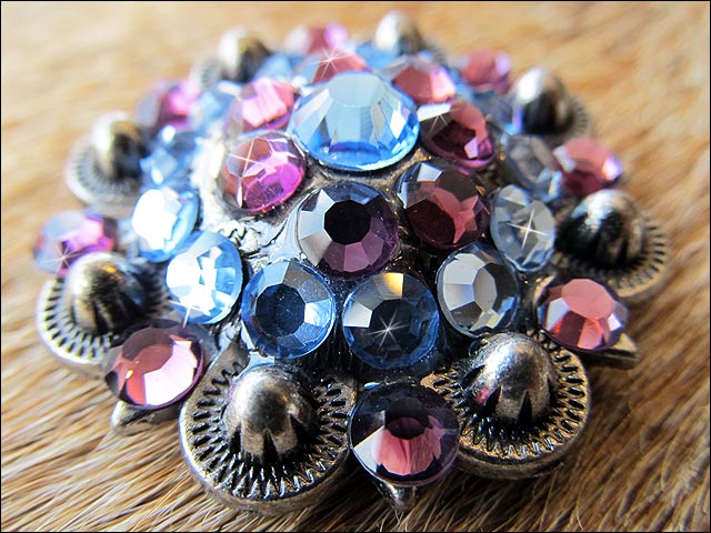 Western Screw Back Concho Amethyst Sapphire Crystal Headstall Cowgirl